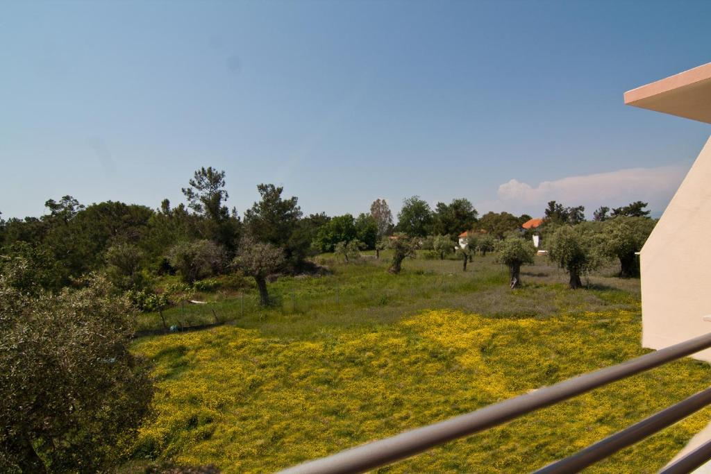 Studios Dimitraki Skala Rachoni  Phòng bức ảnh
